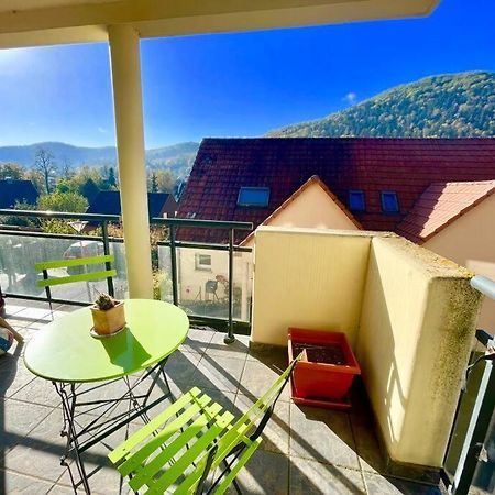 Au Nid De Cigogne Avec Garage A Kaysersberg Extérieur photo