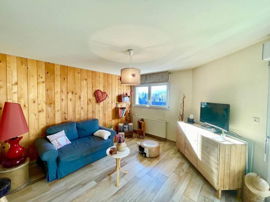 Au Nid De Cigogne Avec Garage A Kaysersberg Extérieur photo
